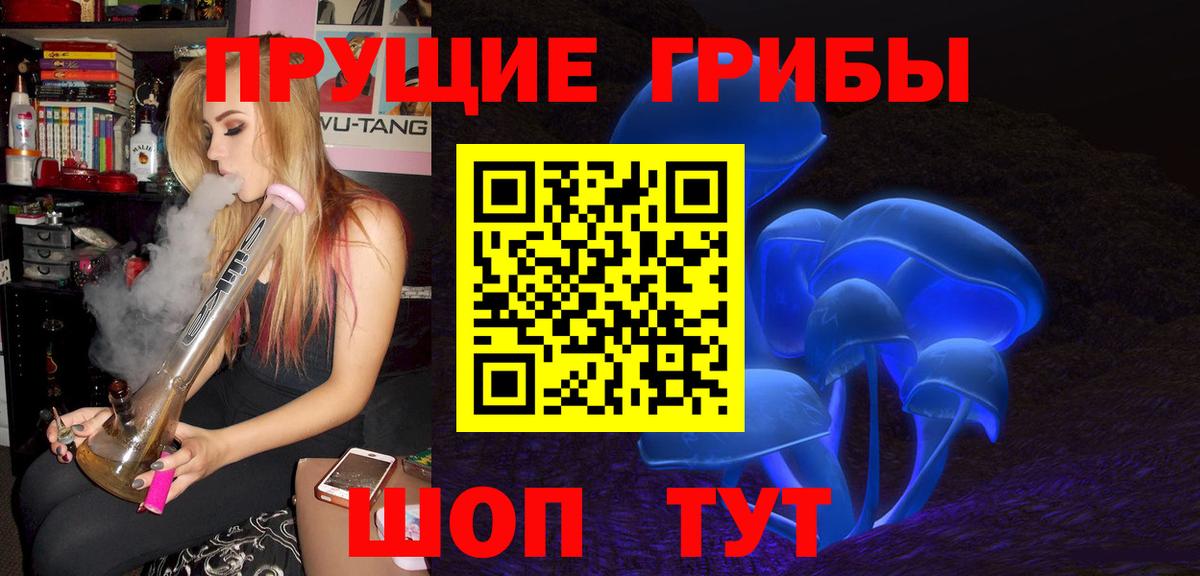 Кировск  Псилоцибиновые грибы мицелий  Вход с VPN 